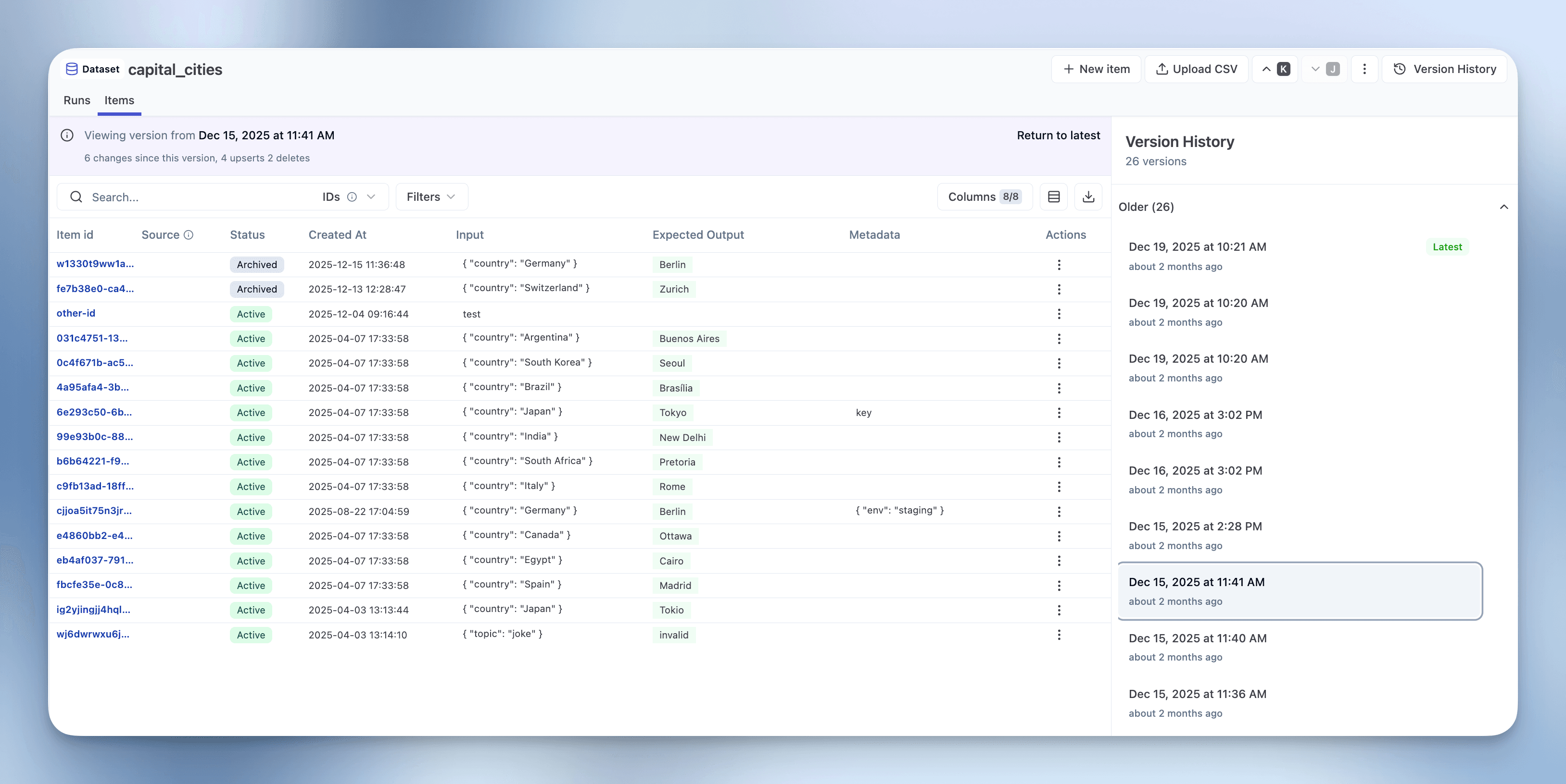 Dataset Version View